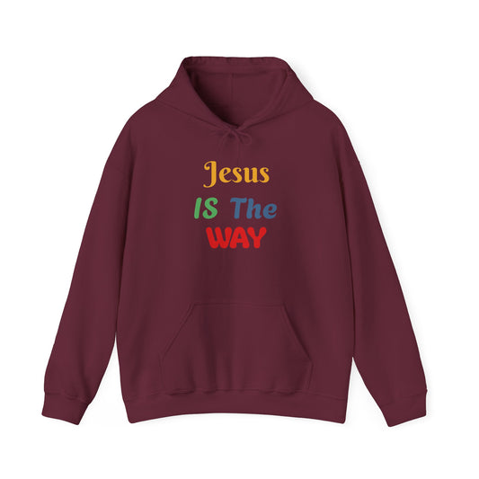 Faith-Inspired Unisex Hooded Sweatshirt - 'Jesus IS The WAY'